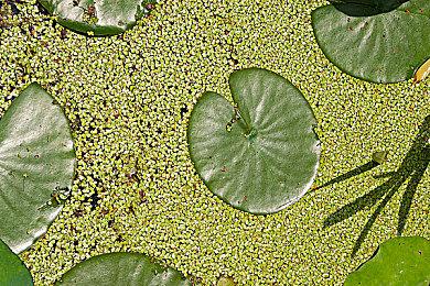 复古动作冒险游戏《地狱火》2月14日发售