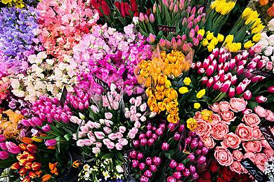 挂机游戏《巴尔的遗产》Steam页面开放 发售日待定